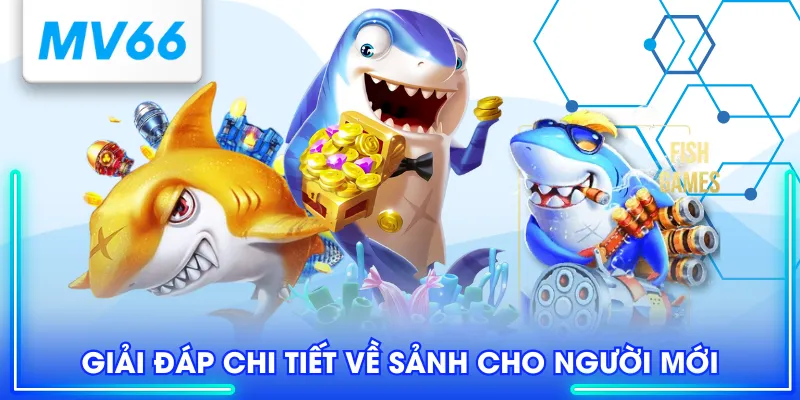 Giải đáp chi tiết về sảnh cho người mới