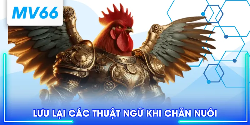 Lưu lại các thuật ngữ khi chăn nuôi