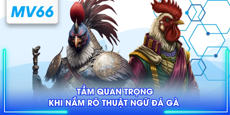 Tầm quan trọng khi nắm rõ thuật ngữ đá gà 